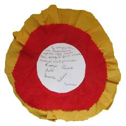 I fiori dei bambini della Parrocchia dellItria (2011)